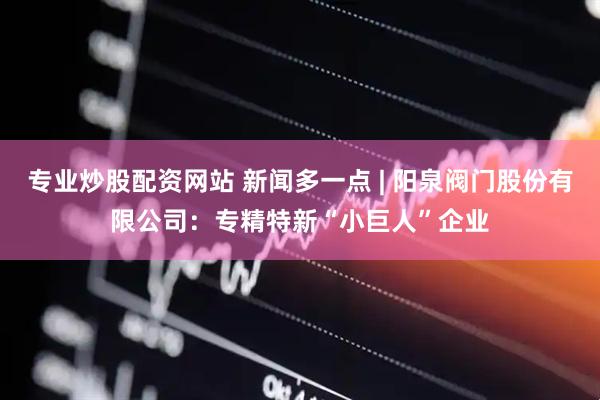 专业炒股配资网站 新闻多一点 | 阳泉阀门股份有限公司：专精特新“小巨人”企业