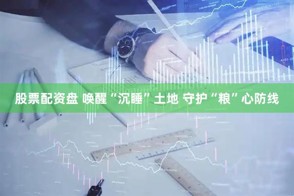 股票配资盘 唤醒“沉睡”土地 守护“粮”心防线